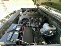 IMG_0290.jpeg
