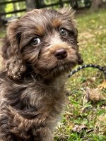 IMG_2457.jpeg IMG_2457.jpeg