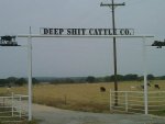 cattle co.jpg