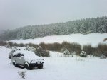 snow.jpg