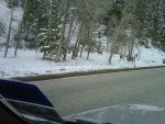 deer.jpg