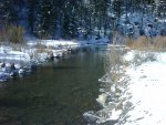 IMG00233-20090418-0956.jpg
