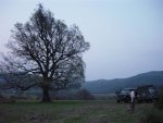 DSC00111 (Small).jpg