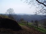 P4090248 (Small).jpg