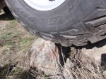 Goodyear MTRs with Kevlar 007.jpg