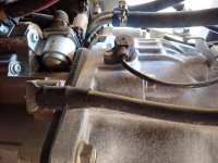 Engine Speed Sensor - Bottom.jpg