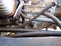 Engine Speed Sensor - Top.jpg