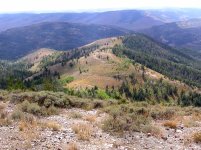 P1010036 (2).JPG P1010036 (2).JPG