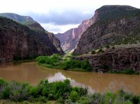 P1010055.JPG P1010055.JPG