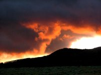 P1010062.JPG P1010062.JPG