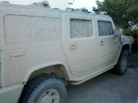 IMG_1875.jpeg
