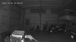 Opossum, Security Cam Shop.png