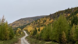 IMG_8297.jpeg IMG_8297.jpeg