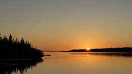 IMG_8003.jpeg IMG_8003.jpeg