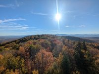 PXL_20251006_130619847.jpg PXL_20251006_130619847.jpg