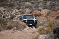 DSC_0748.jpeg DSC_0748.jpeg