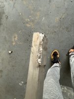 IMG_2074.jpeg