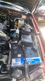 PHOTO-2024-11-04-11-52-44 2.jpg