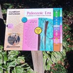 IMG_20251011_102032_716.jpg IMG_20251011_102032_716.jpg