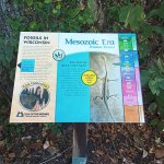 IMG_20251011_102301_579.jpg IMG_20251011_102301_579.jpg