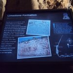 IMG_20251011_111615_449.jpg