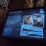 IMG_20251011_111619_434.jpg