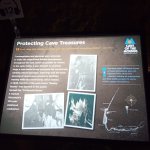 IMG_20251011_112951_670.jpg