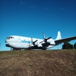 IMG_20251011_151138_350.jpg IMG_20251011_151138_350.jpg