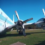 IMG_20251011_152659_707.jpg IMG_20251011_152659_707.jpg