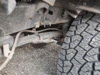 LeafCompressed_02.jpg LeafCompressed_02.jpg