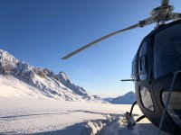 IMG_6947.jpeg IMG_6947.jpeg