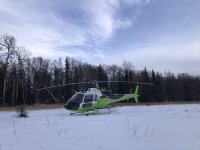 IMG_7015.jpeg IMG_7015.jpeg