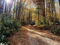 CNF Fall 2025.jpg CNF Fall 2025.jpg