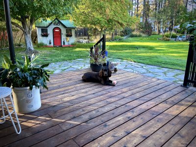 IMG_5478.jpeg IMG_5478.jpeg