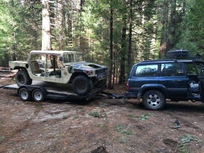 IMG_1096.jpeg IMG_1096.jpeg