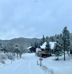 IMG_0156.jpeg IMG_0156.jpeg