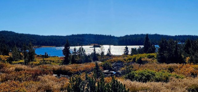 20250924_095028_copy_1600x747.jpg 20250924_095028_copy_1600x747.jpg