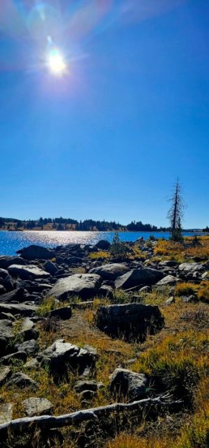 20250924_100609_copy_349x747.jpg 20250924_100609_copy_349x747.jpg