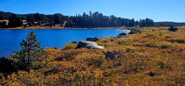 20250924_095340_copy_1600x747.jpg 20250924_095340_copy_1600x747.jpg