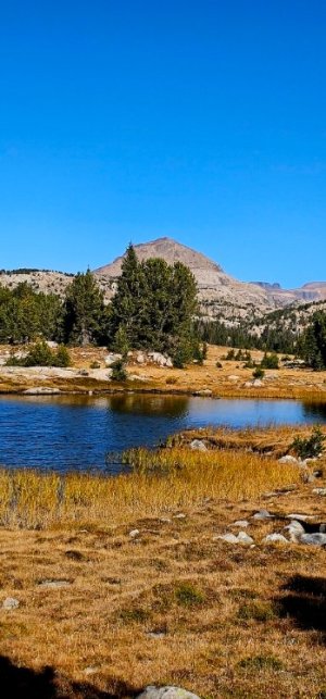 20250924_102433_copy_349x747.jpg 20250924_102433_copy_349x747.jpg