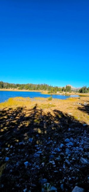 20250924_102417_copy_349x747.jpg 20250924_102417_copy_349x747.jpg