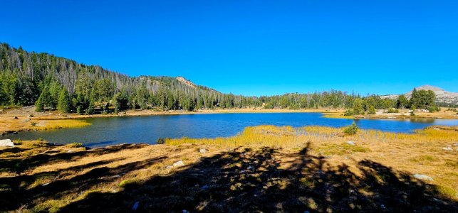 20250924_102411_copy_1600x747.jpg 20250924_102411_copy_1600x747.jpg