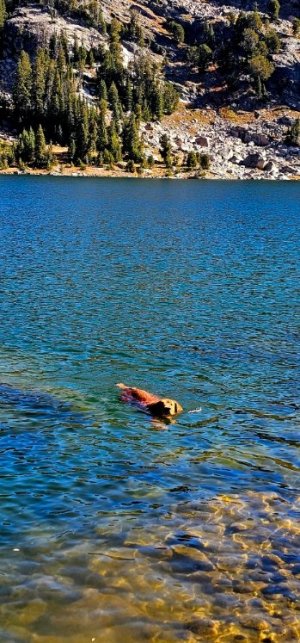 20250924_104316_copy_349x747.jpg 20250924_104316_copy_349x747.jpg