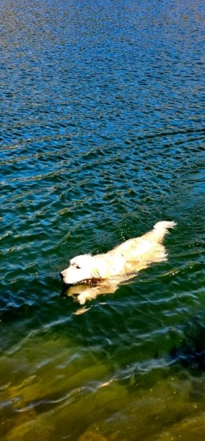 20250924_104251_copy_349x747.jpg 20250924_104251_copy_349x747.jpg