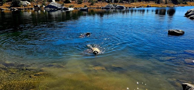 20250924_111541_copy_1600x747.jpg 20250924_111541_copy_1600x747.jpg