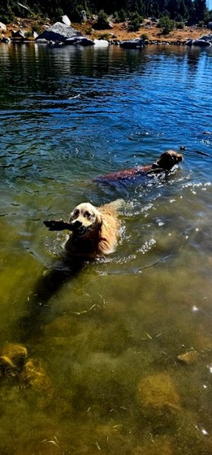 20250924_111629_copy_349x747.jpg 20250924_111629_copy_349x747.jpg