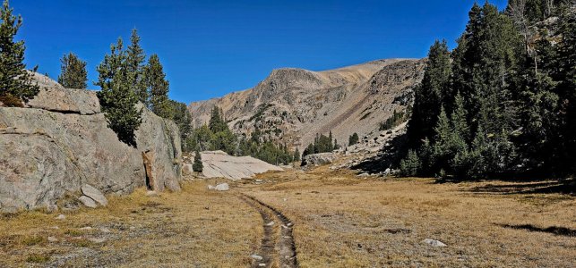 20250924_120055_copy_1600x747.jpg 20250924_120055_copy_1600x747.jpg