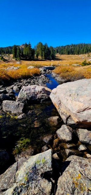 20250924_105512_copy_349x747.jpg 20250924_105512_copy_349x747.jpg