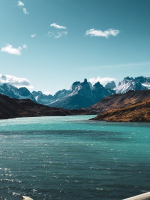 IMG_20250213_165140_427946545164353.jpg IMG_20250213_165140_427946545164353.jpg