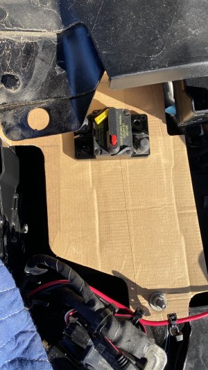 IMG_4675.jpeg IMG_4675.jpeg